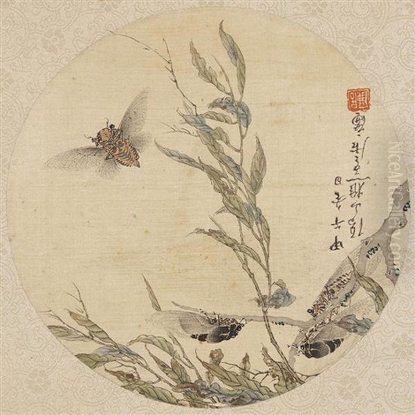 Cicada And Branches - view 1