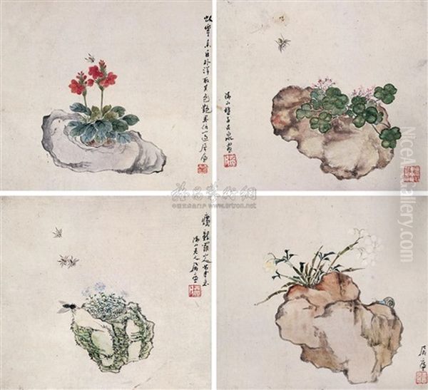 Flowers And Insects - view 1
