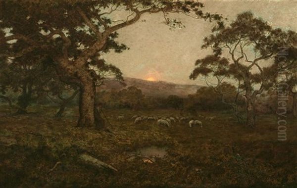 Shepherd And Grazing Sheep Beneath Oaks In Sunset Landscape - view 1