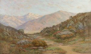 When The Desert Blooms