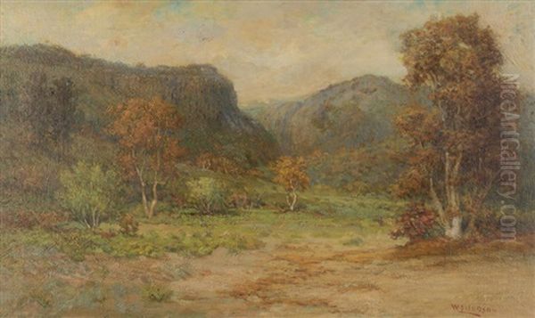 California Landscape - view 1