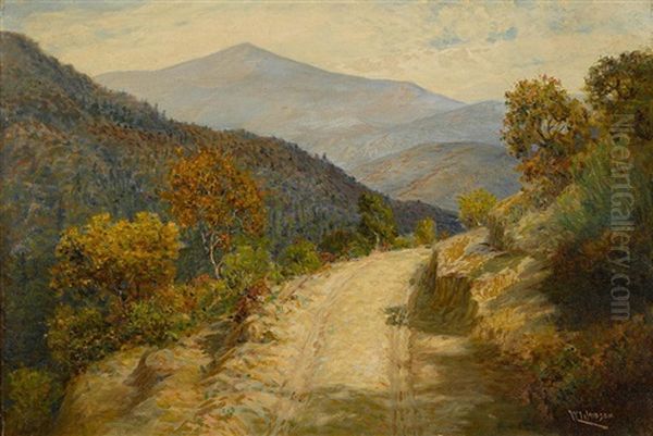 El Pinero Road - view 1