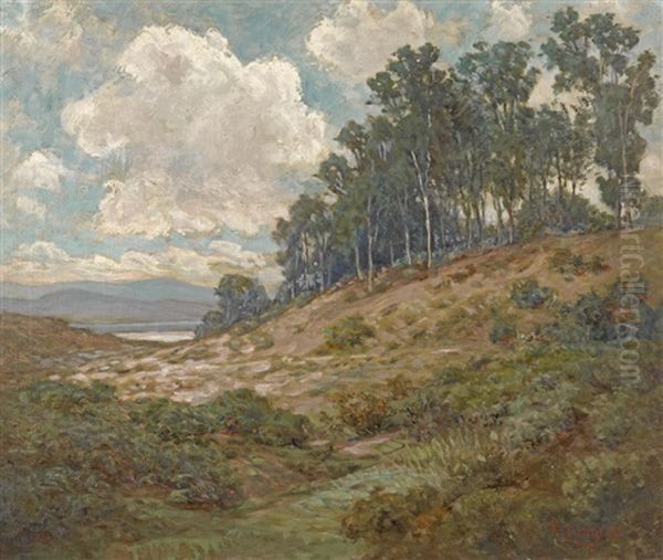 Eucalyptus Grove - view 1