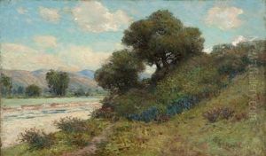 A Summer Day