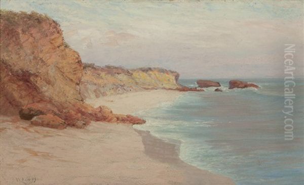 Morning Fog, California Coastal - view 1