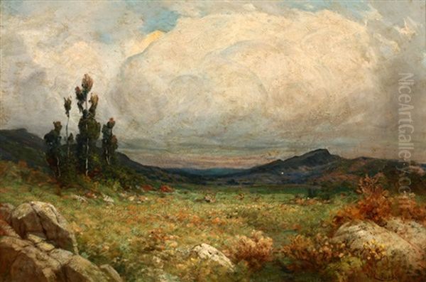 Cloud 351, California Landscape - view 1