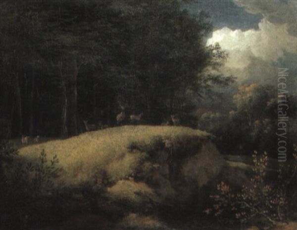 Deer In A Forest Clearing - view 1