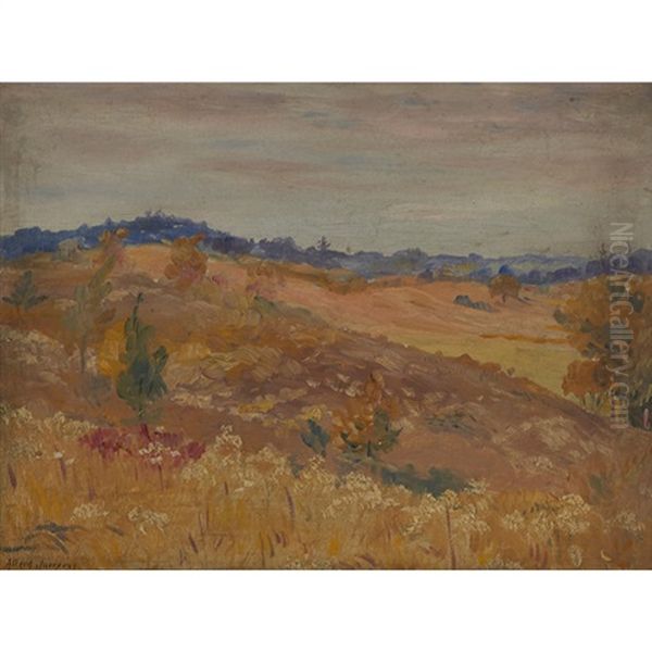 Landscape - view 1