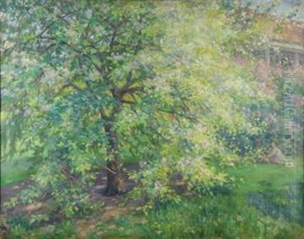 The Crab Apple Tree - view 1
