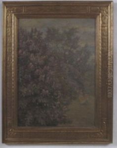Lilac Bushes