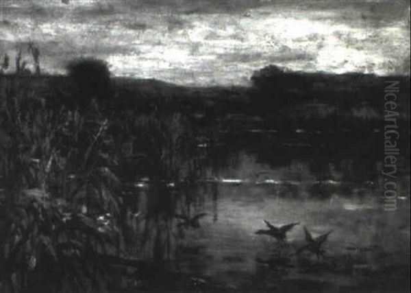 Ducks Over Marsh - view 1