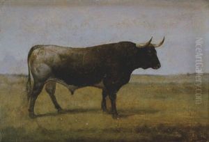 Perlita Perlita