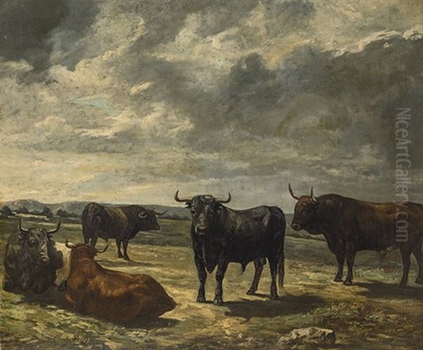 Toros De Lidia - view 1