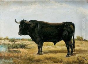 Fortuno by Luis Julia Y Carrere