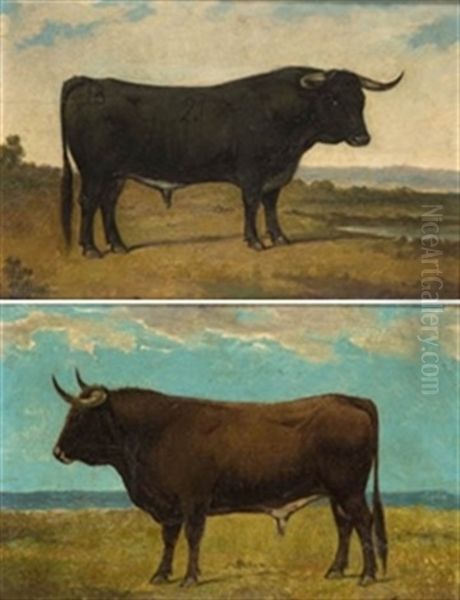 Toros Bravos (pair) - view 1