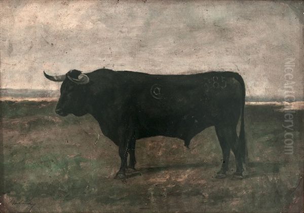 Aceituno, De La Ganaderia De D. Joaquin Perez De La Concha - view 1