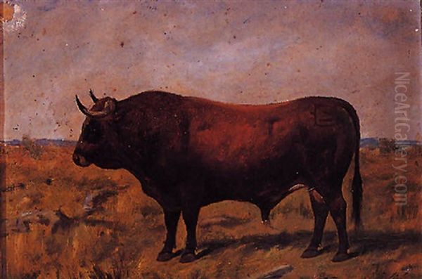 Toro - view 1