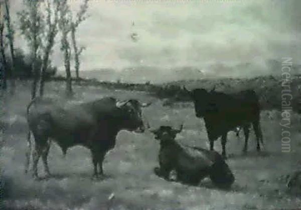 Toros En La Dehesa - view 1