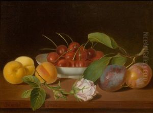 Still Life With Cherries And Apricots On A Table