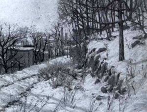 Winter Morning/afternoon Winter Morning/afternoon