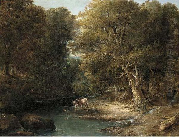 Cattle Watering In A Wooded Landscape - view 1
