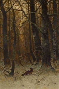 Fuchs Im Winterwald