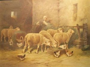 Sheepfold Sheepfold