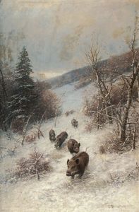A Sounder Of Boars In A Wintery Forest A Sounder Of Boars In A Wintery Forest