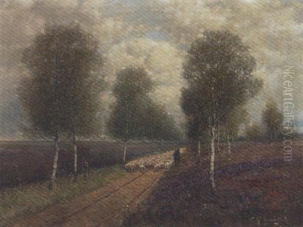 Heimtrieb Der Schafe In Der Heide - view 1