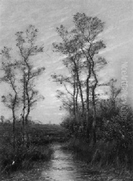 Altwasser Im Herbst Am Niederrhein - view 1