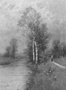 Weite Wiesenlandschaft Mit Bachlauf Weite Wiesenlandschaft Mit Bachlauf