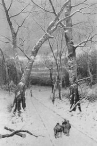 Holzsammler In Winterwald