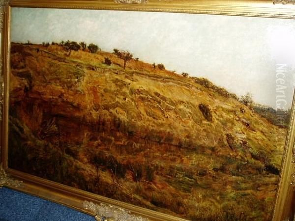 Chalk Pits At Claydon - view 1