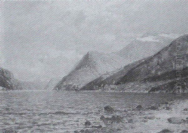 Norwegische Fjordlandschaft - view 1