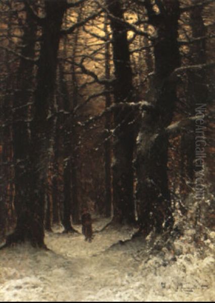 Einsame Frau Im Verschneiten Winterwald. Abendstimmung - view 1