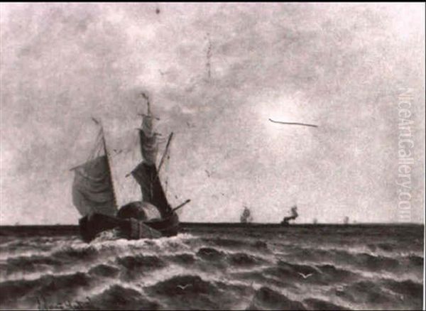 Marine - view 1