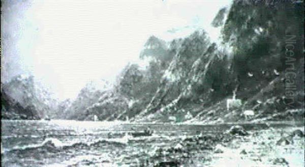 Norwegischer Fjord - view 1