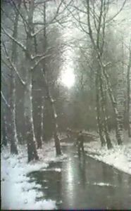 Wintertag