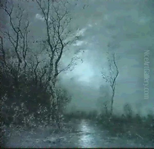 Waldbach Bei Mondlicht - view 1