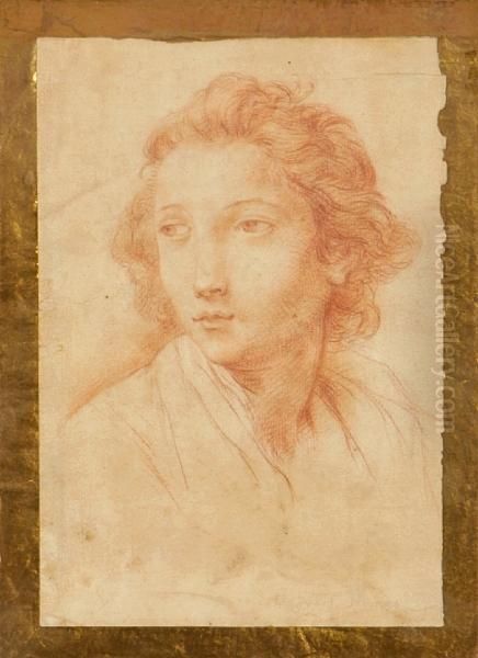 A Portrait Of A Youth - view 1