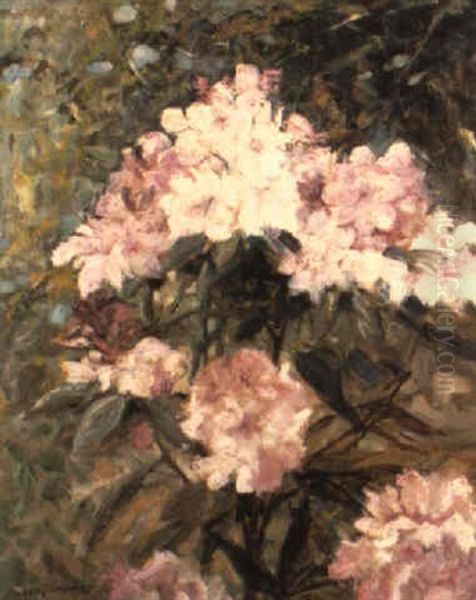 Rhododendrons - view 1