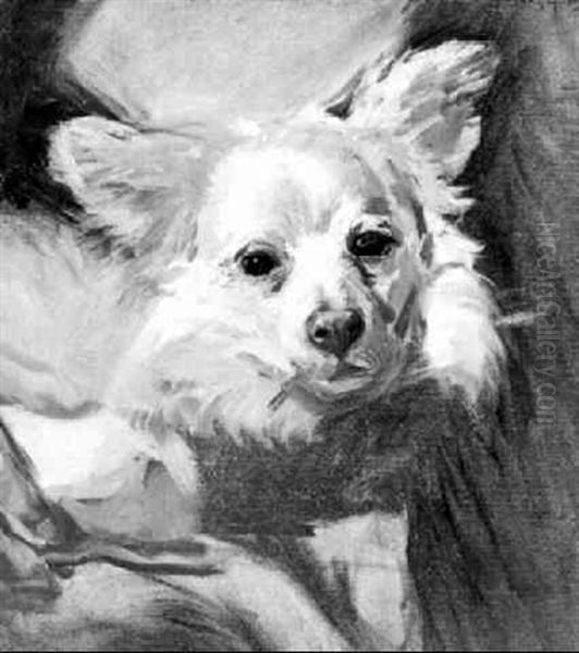 Portrat Eines Hundchens - view 1
