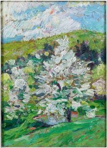 Marillenblute In Der Wachau by Rudolf Junk