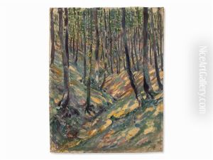 Forest Path