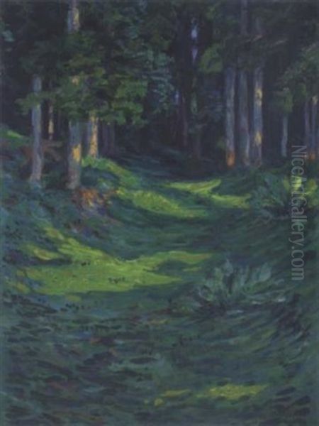 Waldlichtung - view 1