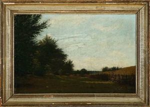 Summer Landscape Summer Landscape