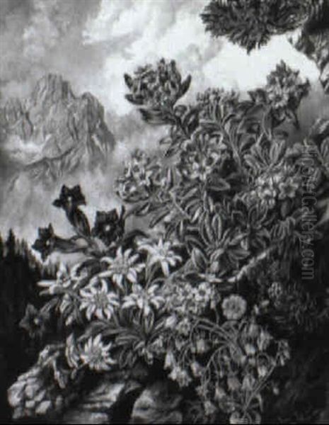Bluhende Alpenblumen - view 1