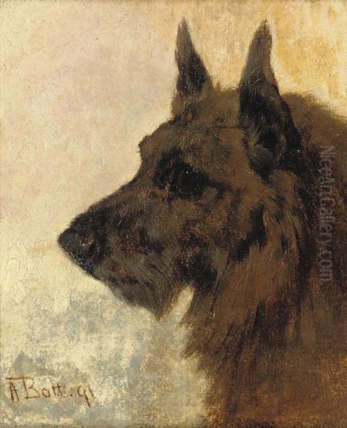 A Terrier - view 1