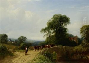 Cows Being Driven Across A Bridge