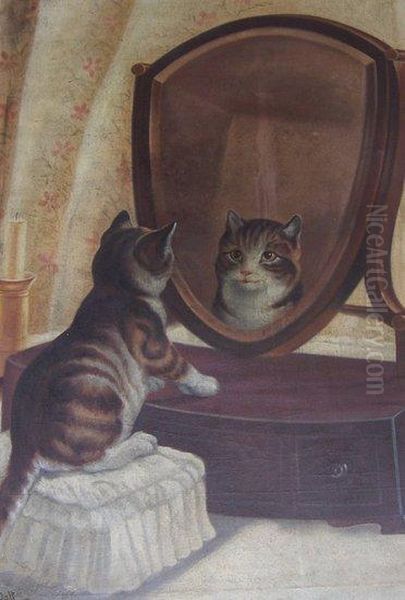 The Kitten's Reflection - view 1
